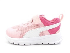 Puma almond blossom/puma white sneaker Evolve